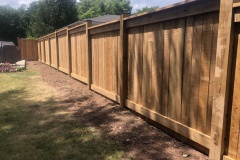 20220712_125458_IMG_5656