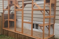 Kit Cat Condo With Pressure Treated Deck