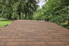 Roof Shingles